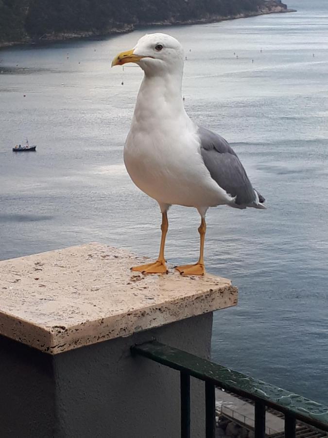 Salerno Centraal Apartment Dış mekan fotoğraf