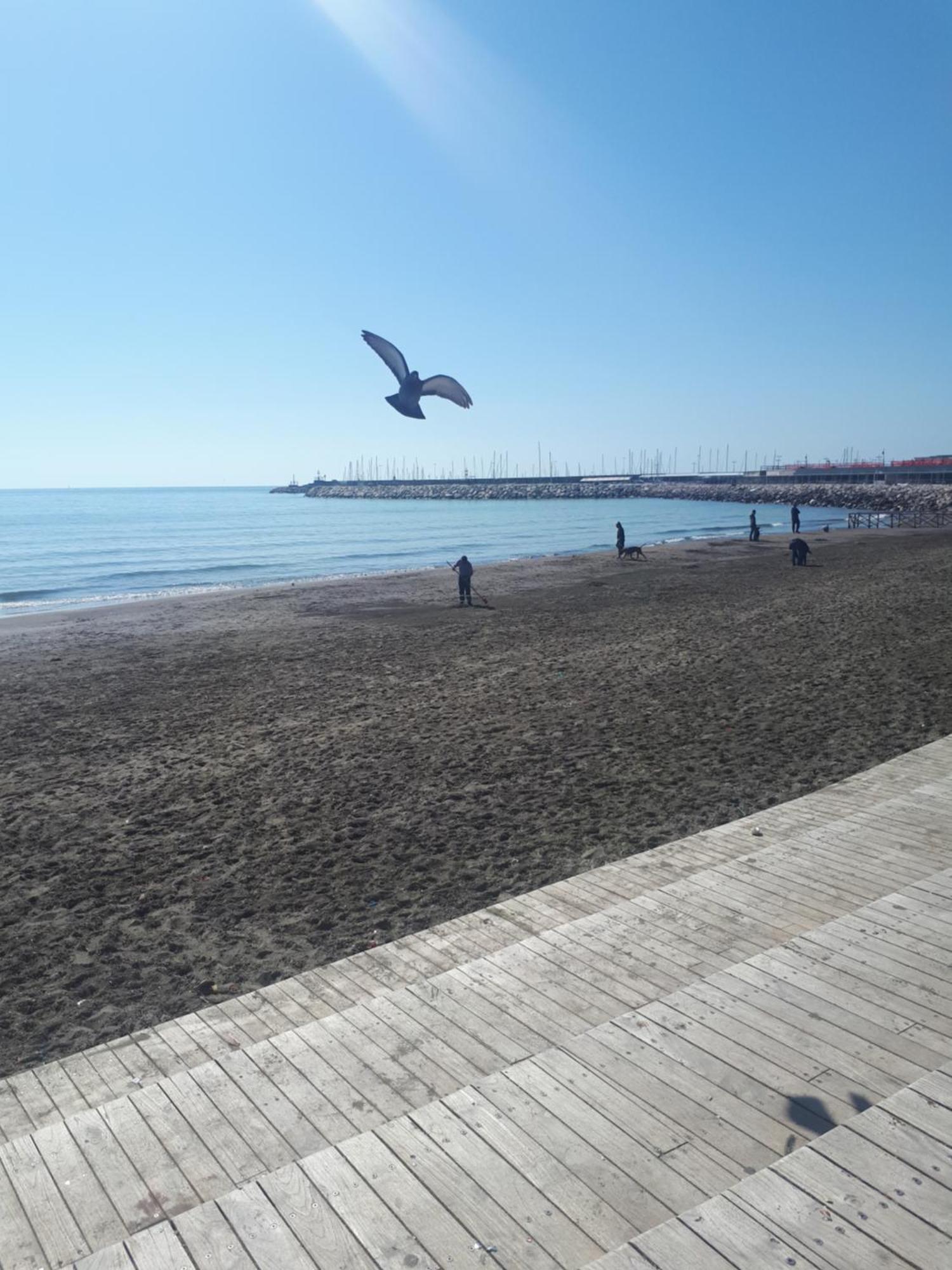 Salerno Centraal Apartment Dış mekan fotoğraf